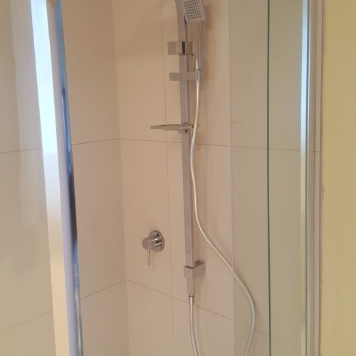 Chrome twin shower