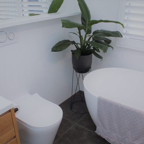 toilet with freestanding bath